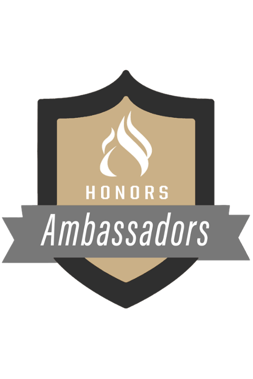ambassador program shield